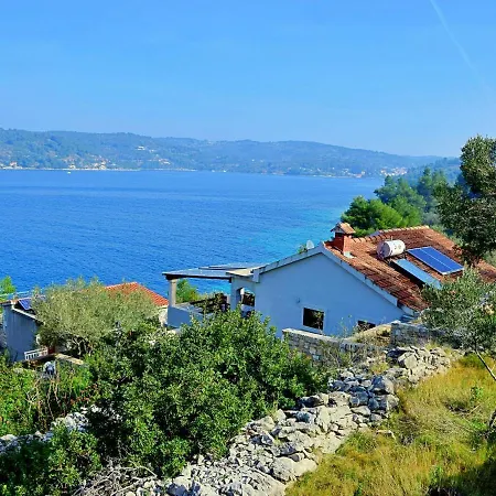 Flora By Interhome *