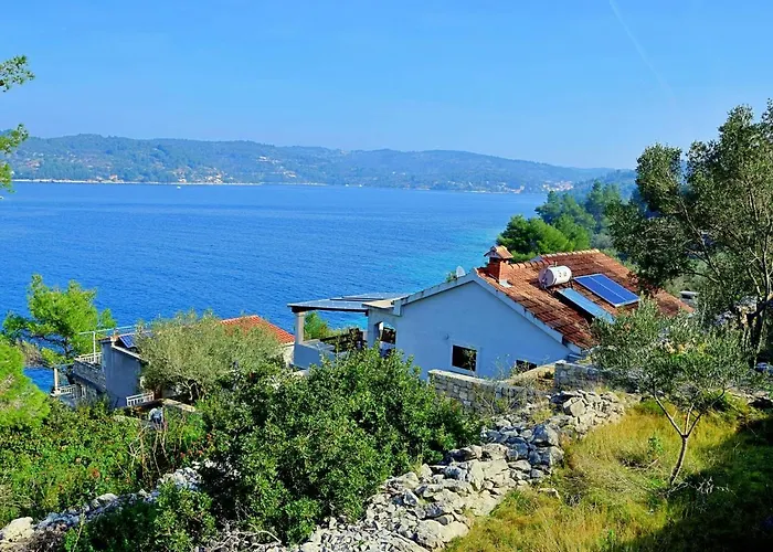 Flora By Interhome *